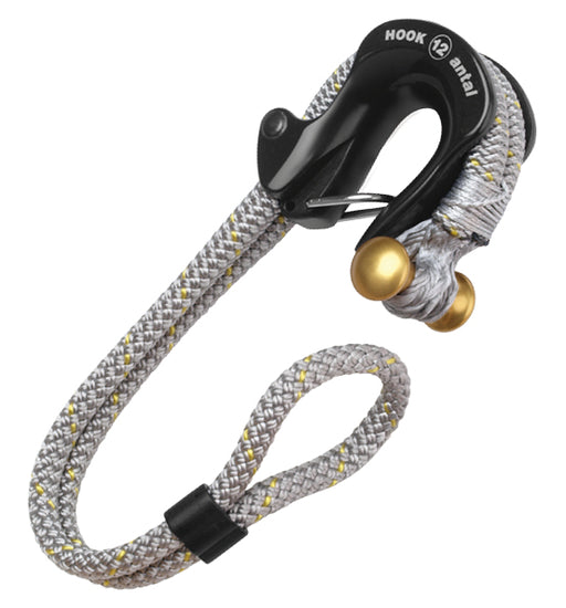 Shop Heavy Duty Swivel Eye Hook Leash with great discounts and prices  online - Jan 2024